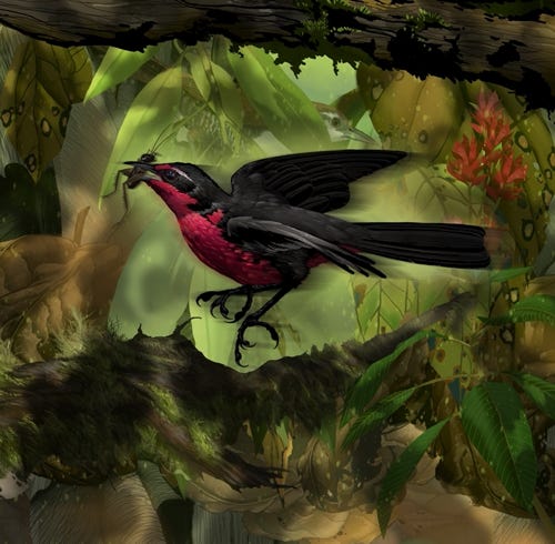 Rosy-thrush Tanager painting
